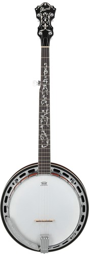 ibanez banjo
