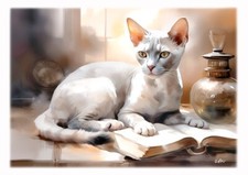 Tableau - création originale - Portrait Chat race Devon Rex