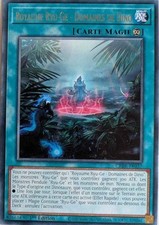 Carte Yu Gi Oh Royaume Ryu-Ge
