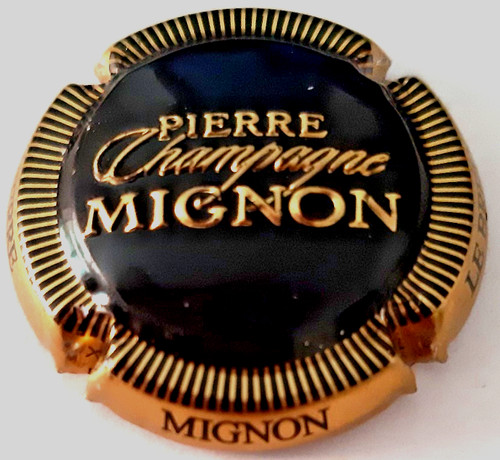 Capsule champagne mignon - champagne,