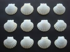 LOT DE 12 COQUILLES SAINT