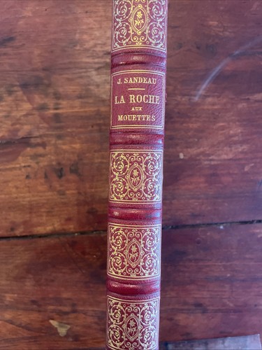 roche mouettes