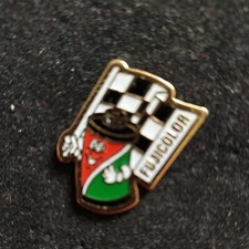  RARE PINS VINTAGE PHOTO FUJICOLOR DRAPEAU DAMIER F1 pellicule PHOTOGRAPHE 