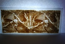 PLAQUE VERRE STEREO GUERRE 14 / 18 CHEMIN DES DAMES