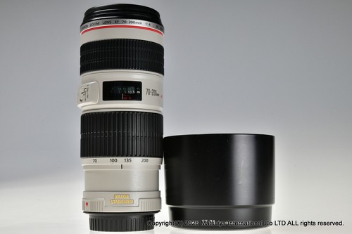Canon 200mm 4l is usm - 70-200mm,