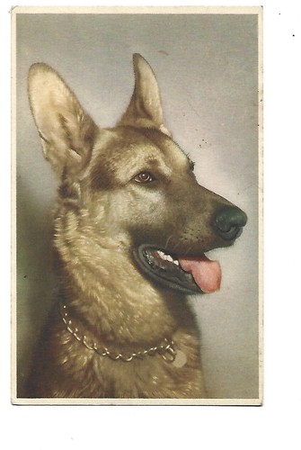 Fantaisie illustration chien - fantaisie,