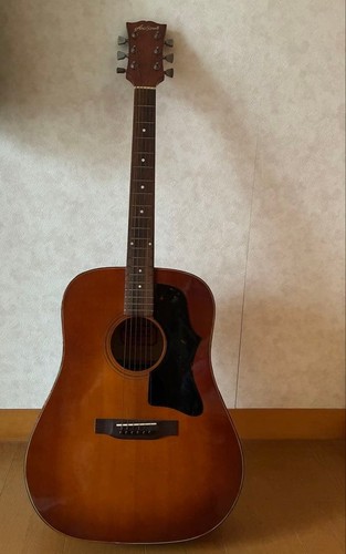 guitare aria pro ii