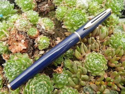 Stylo plume waterman - stylo,