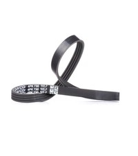 DAYCO Courroie Poly-V Courroie