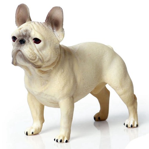 Chien modèles bouledogue - chien,