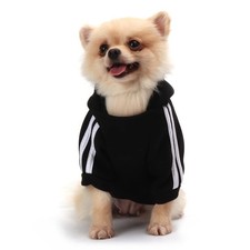 Qicheng lys manteau - &, chien