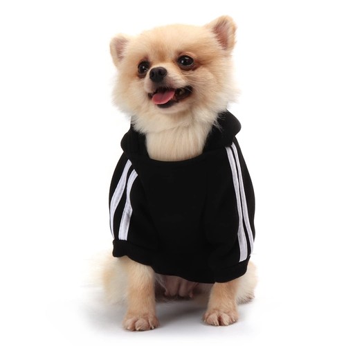 Qicheng lys manteau chien - &,