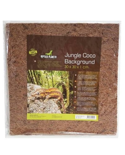 Fond terrarium fibre - fond, coco