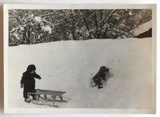 Enfants petits luge bois neige hiver moufles - Photo ancienne snapshot 1953