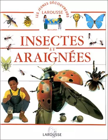 Insectes araignées - insectes, et