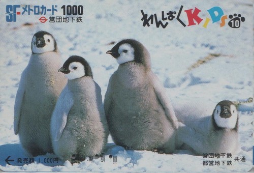 Carte japon série animal - japon,