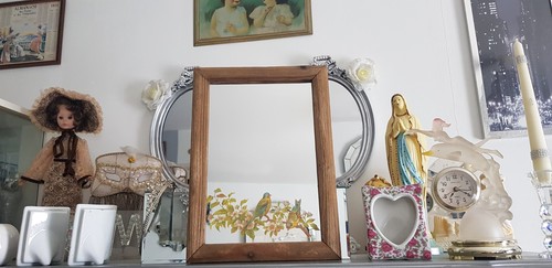 Miroir vintage - 🦜,
