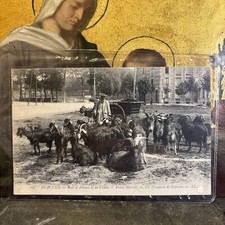 cpa  beauvais 60 troupeau de