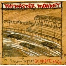 Goodbye race tripmaster - race, de