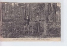 LANDES: chasse à la palombe