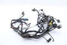 Faisceau électrique TRIUMPH