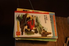 La roche aux mouettes