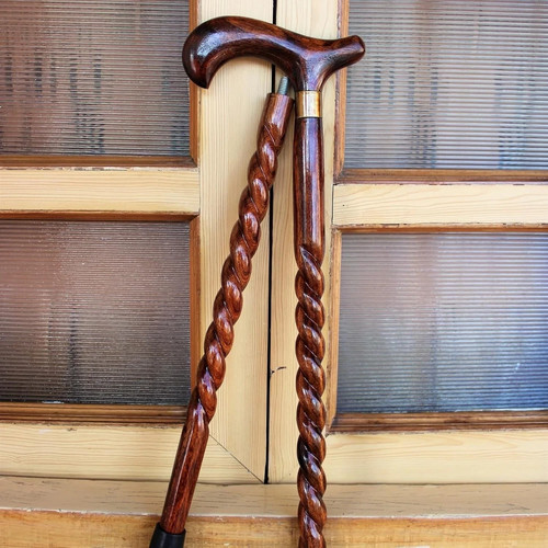 Canne pied bois noué - canne, en