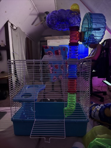 Hamster cage and accessories - cage,