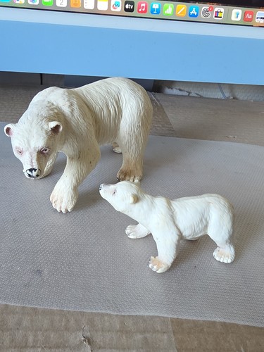 Famille ours polaire 2 - famille,