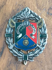 Insigne Militaire 1er Régiment Etranger de Cavalerie Drago Paris /L63