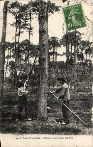 Dans les landes résiniers - les, —