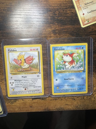 Lot carte jungle ed2 - jungle,