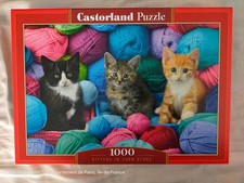 CASTORLAND - PUZZLE 1000 PIECES -KITTENS IN YARN STORE - N° C-104796-2