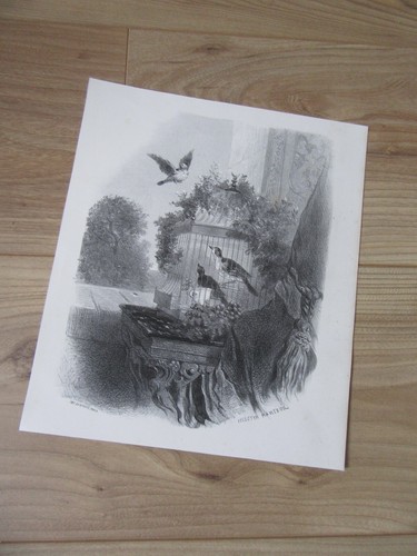 Gravure 1880 originale les - ,
