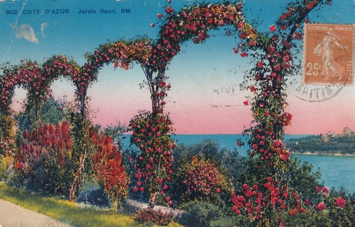 Carte postale postcard - 🦬carte, /