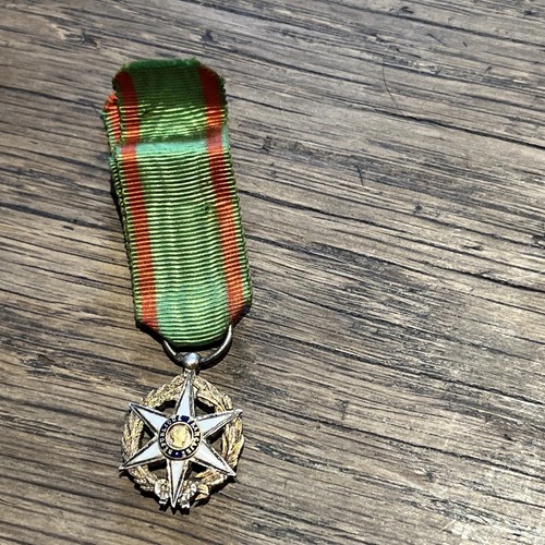 Médaille miniature mérite - miniature, du