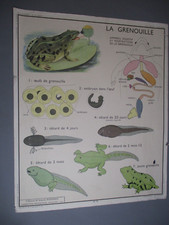 AT194 AFFICHE SCOLAIRE ECOLE
