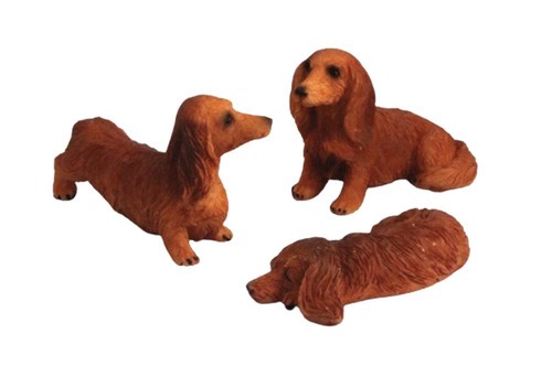 Lot chiens teckel poil - chiens,