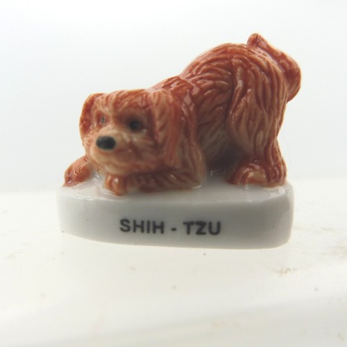 Feve fève atlas chien - -,