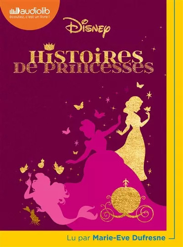 Histoires princesses livre - histoires,