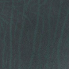 Morceau de cuir de collet