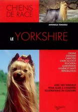Le Yorkshire, Antonella Tomaselli