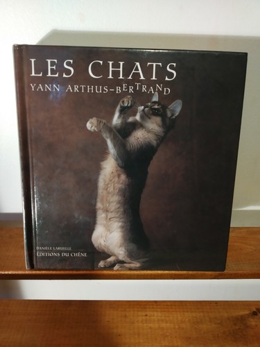 Les chats yann - les, chats,