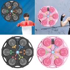 Boxing Training Machine Mural