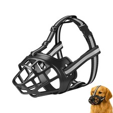 Muselière pour Chien