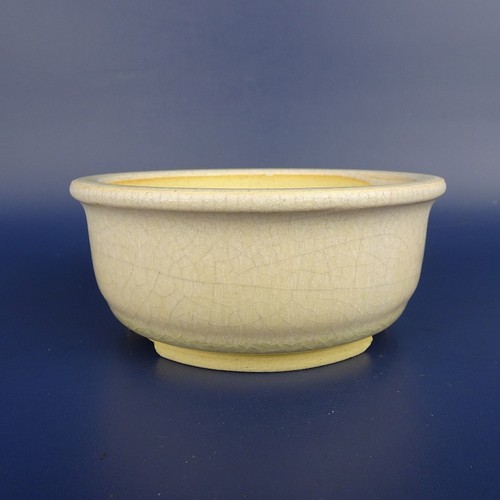 Pot bonsaï japonais - bonsaï,