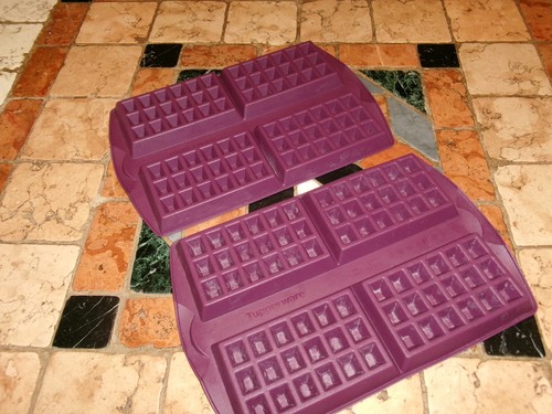 Tupperware moules a gaufres - moules,