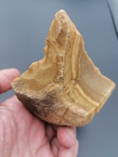 Neanderthal France Middle Paleolithic Mousterian knife +drill in banded flint