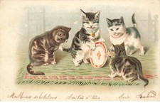 CHAT #35237 CHATS CAT KATZE 4 CHATS JOUENT AVEC UNE ASSIETTE