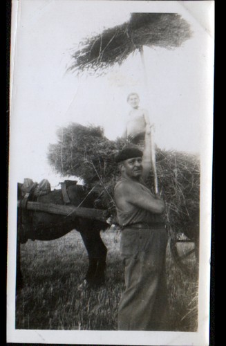 Travail agricole photo - agricole,